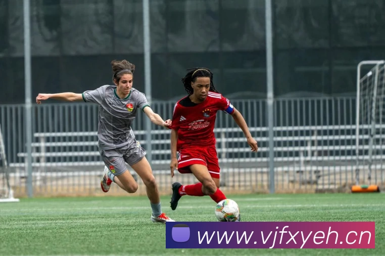 滚球官网appAPP 体育赛事宣传图